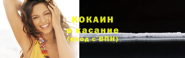 винт Горняк